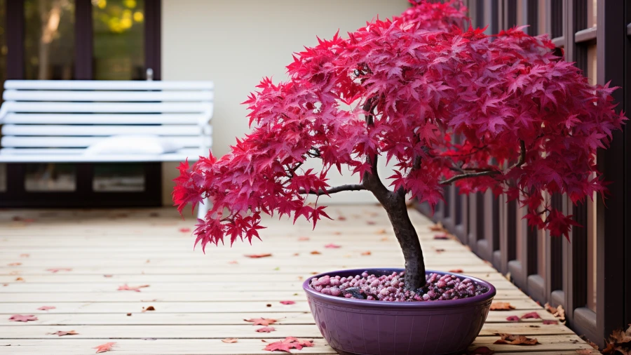 8 Potted Plants for a Stunning Front Door and Porch Display