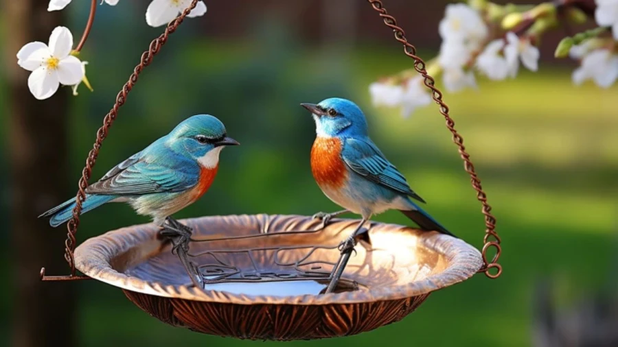 Amazing Brd Bath Ideas to Create a Welcoming Retreat for Birds