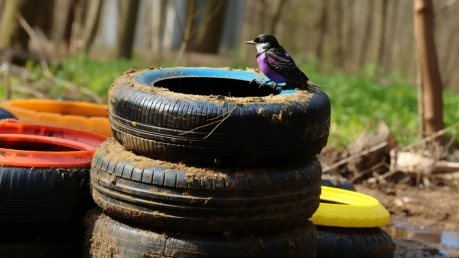 Amazing Brd Bath Ideas to Create a Welcoming Retreat for Birds