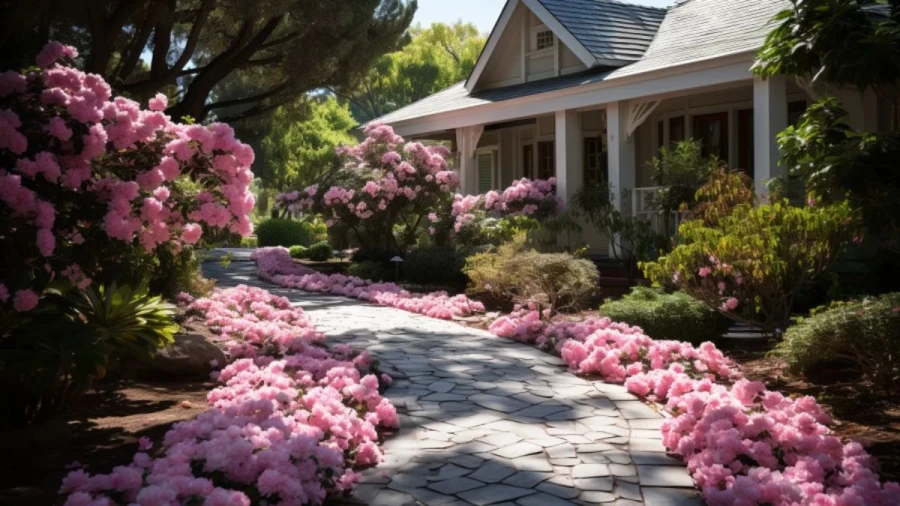 Fantastic Driveway Ideas 2024 to Boost Your Home's Value