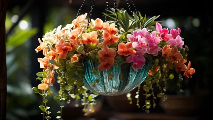 Stunning Hanging Basket Ideas for a Beautiful Porch