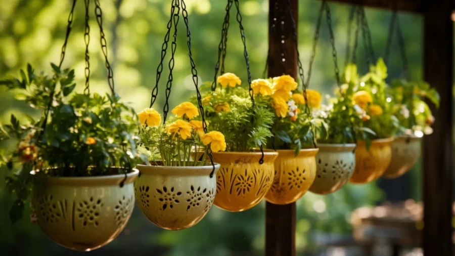 7 Creative Household Items Into Planter Ideas That Will Give New Life