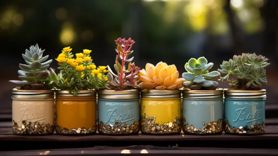 7 Creative Household Items Into Planter Ideas That Will Give New Life