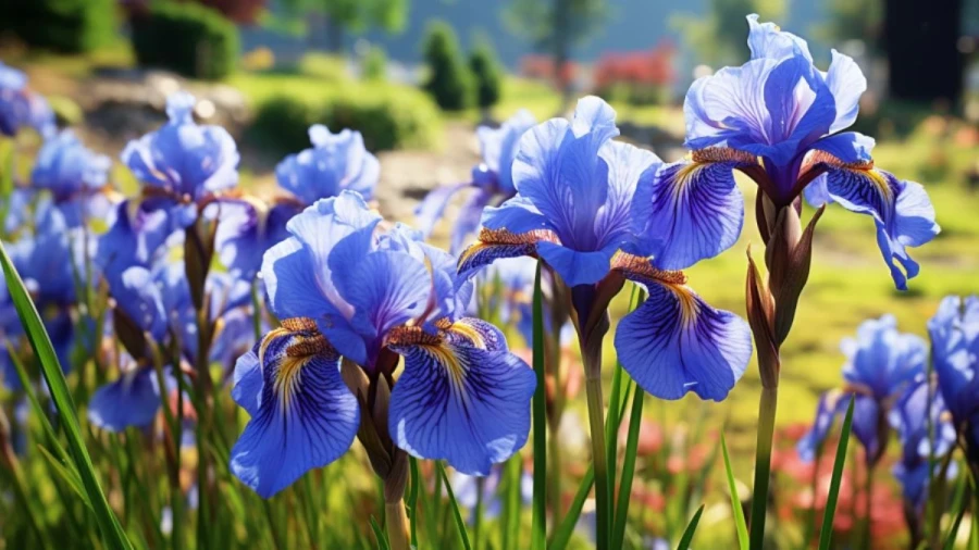 7 Captivating Blue Flowers for Your Garden That Will Brighten