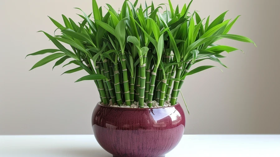 10 Front Door Plants for Positive Feng Shui Vibes